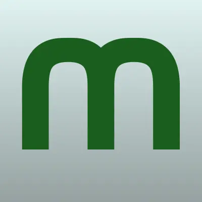 Maxi, автомойка, лого-визитка