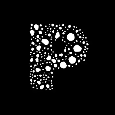 Политехник